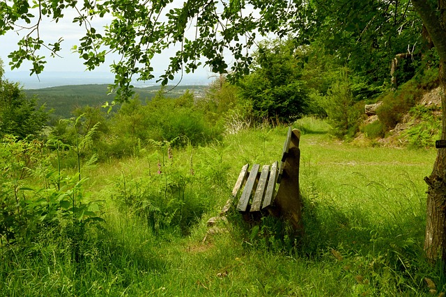 下制造杀机 下制造杀机