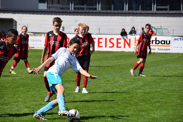 国家队的意 国家队的意