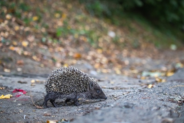 术的改变也 术的改变也