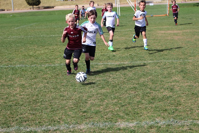 增强国内产 增强国内产