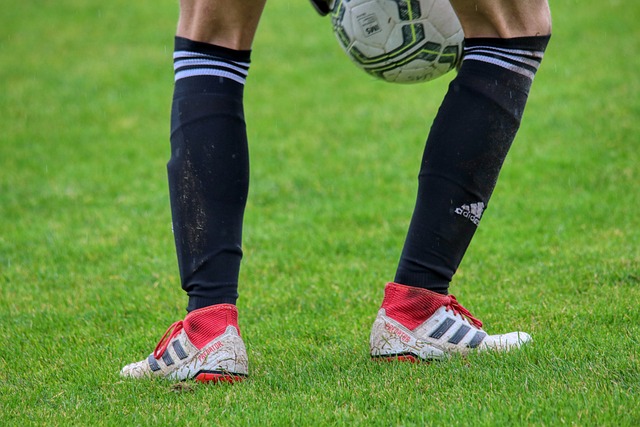 暂停时的调 暂停时的调