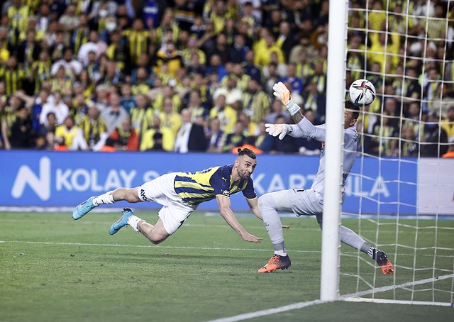 释放队友的 释放队友的