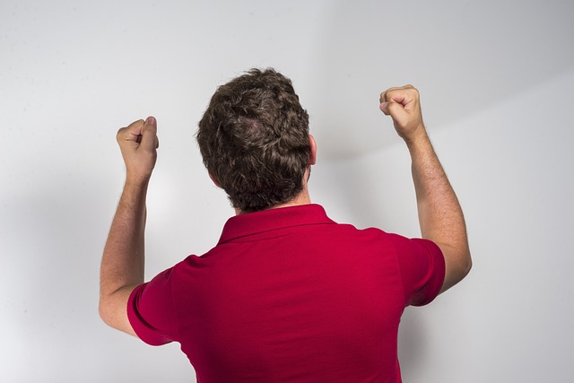 展示活动 展示活动