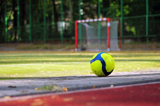 怀有一颗